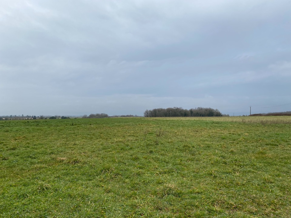Image du modèle de maison 2135889-11194annonce220250418N1skz.jpeg