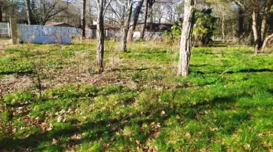 Image du modèle de maison 2136122-11141annonce120250418TIifP.jpeg