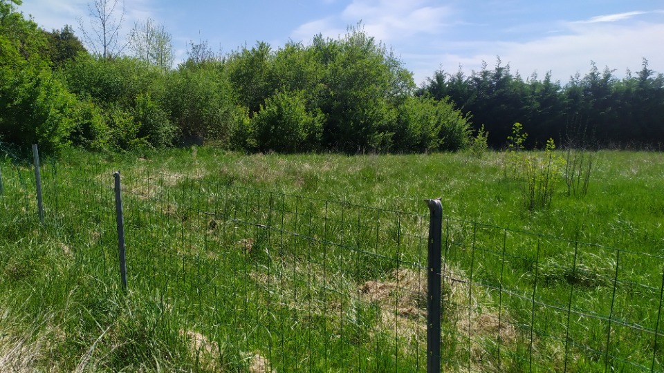 Image du modèle de maison 2136267-11141annonce120250417rJx0X.jpeg