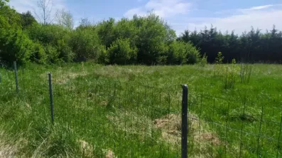 Image du modèle de maison 2136267-11141annonce120250417rJx0X.jpeg