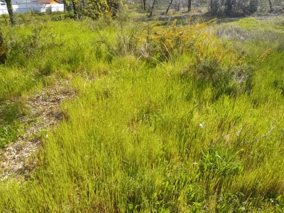 Image du modèle de maison 2136311-11244annonce220250418BU7Jl.jpeg