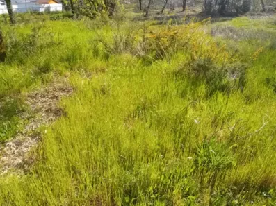 Image du modèle de maison 2136314-11244annonce220250418BU7Jl.jpeg