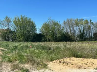 Image du modèle de maison 2137099-9644annonce120250420M57ff.jpeg
