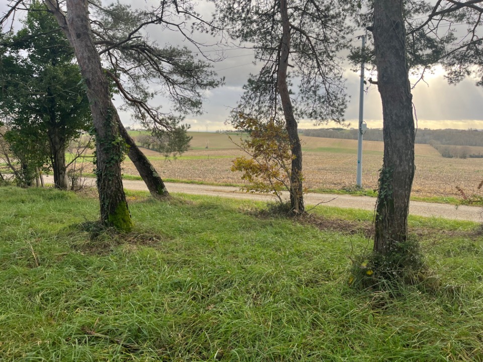 Image du modèle de maison 2137398-9795annonce120250422xKSEo.jpeg