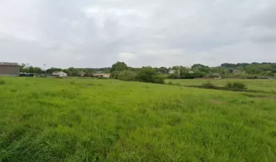 Image du modèle de maison 2137586-5612annonce320241210Tkee6.jpeg