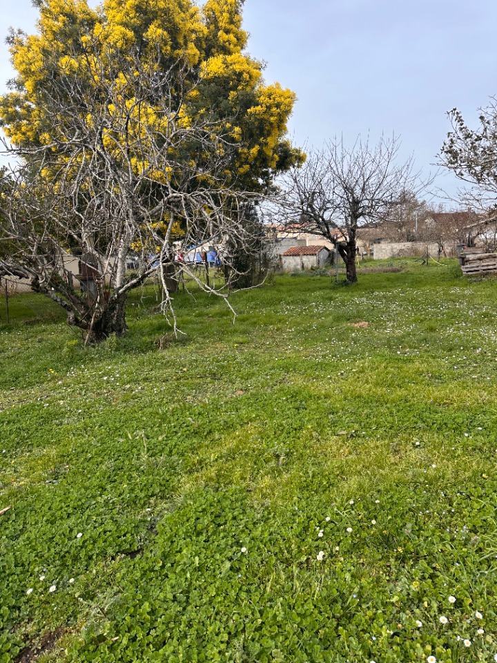 Image du modèle de maison 2137842-7300annonce120250220ebodi.jpeg