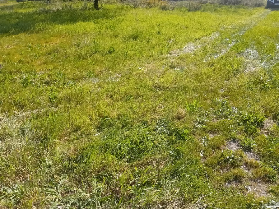 Image du modèle de maison 2138174-11244annonce120250422bVtun.jpeg