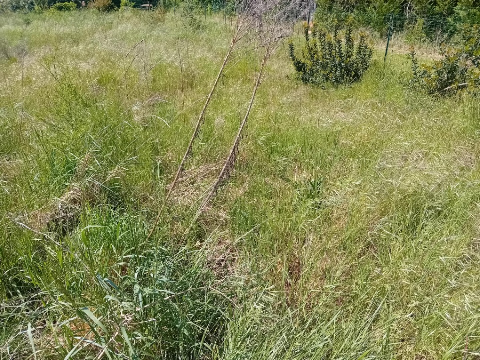 Image du modèle de maison 2138174-11244annonce220250422STLVR.jpeg