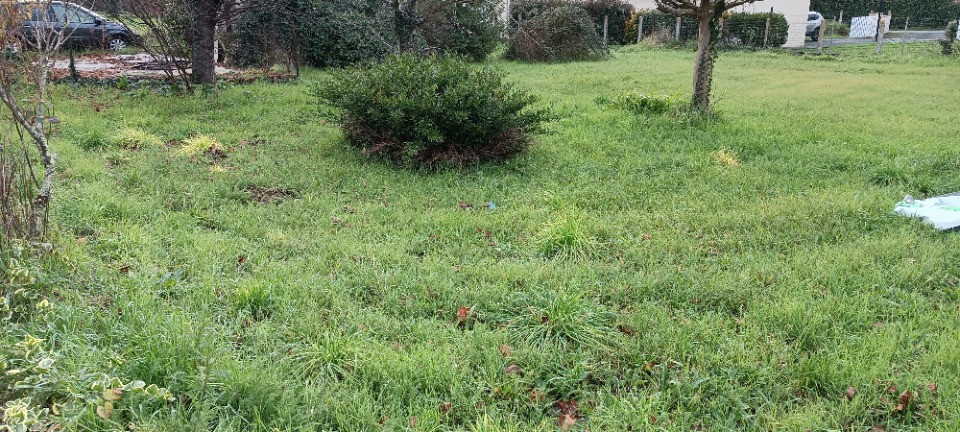 Image du modèle de maison 2138903-11131annonce1202504248gsyw.jpeg