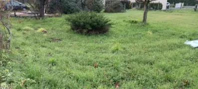 Image du modèle de maison 2138921-11131annonce1202504248gsyw.jpeg