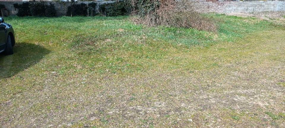 Image du modèle de maison 2139104-11131annonce320250407Ll2iH.jpeg
