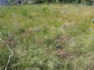 Image du modèle de maison 2139132-11244annonce220250424WCSPB.jpeg