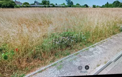 Image du modèle de maison 2139148-11131annonce320250407DmLTn.jpeg