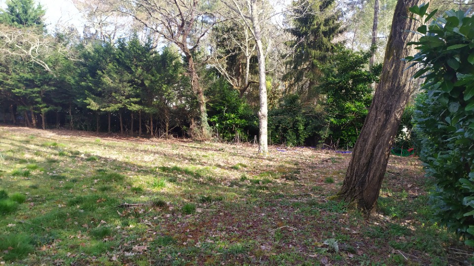 Image du modèle de maison 2139323-11141annonce120250424TexZh.jpeg