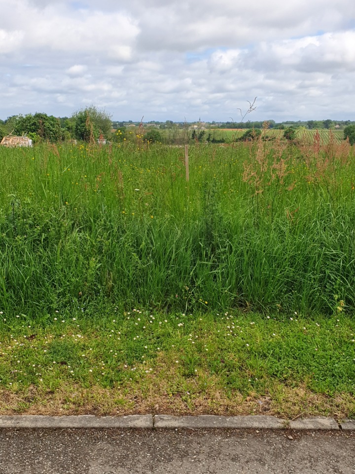 Image du modèle de maison 2139335-11351annonce120250424vFVNn.jpeg