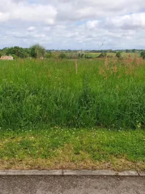 Image du modèle de maison 2139335-11351annonce120250424vFVNn.jpeg