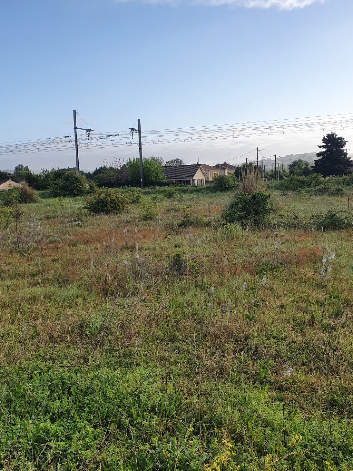 Image du modèle de maison 2139528-11351annonce120250424brJZg.jpeg