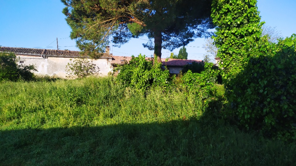 Image du modèle de maison 2139676-11141annonce1202504254cU4T.jpeg