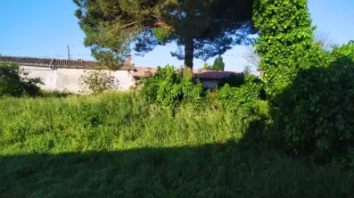 Image du modèle de maison 2139676-11141annonce1202504254cU4T.jpeg