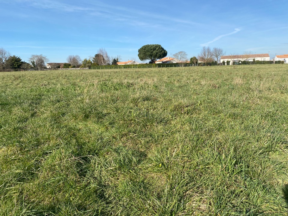 Image du modèle de maison 2139957-11194annonce220250424iU8C6.jpeg