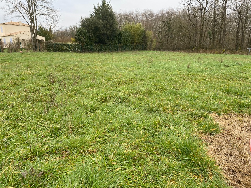 Image du modèle de maison 2139965-11194annonce320250424Kpg6X.jpeg
