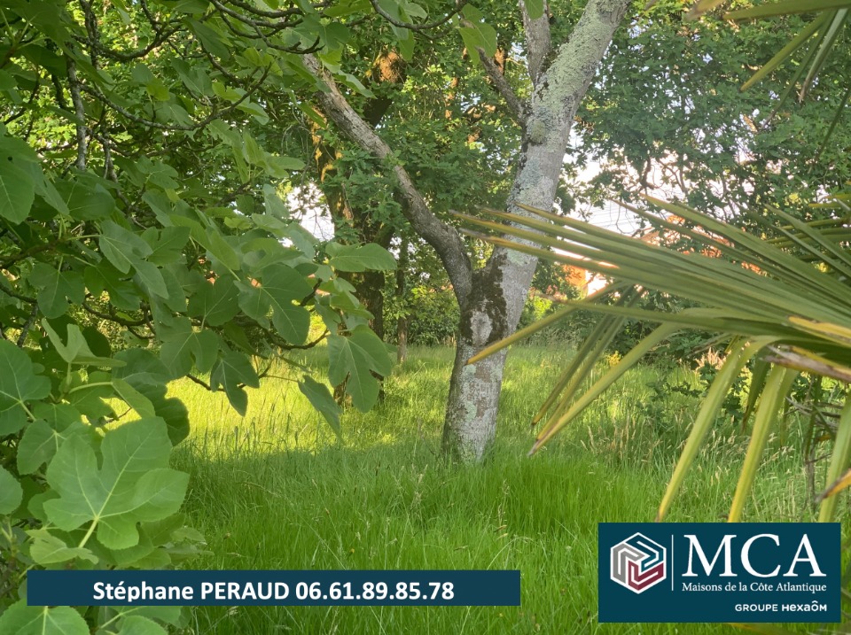 Image du modèle de maison 2139968-5828annonce120250314ALJ3K.jpeg