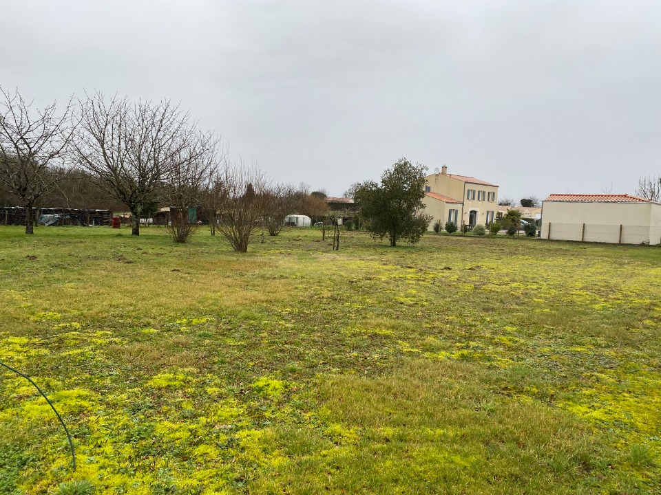 Image du modèle de maison 2140000-11194annonce320250424xgTrX.jpeg