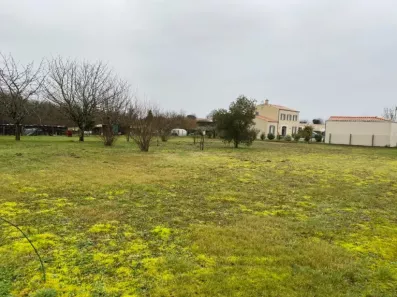 Image du modèle de maison 2140000-11194annonce320250424xgTrX.jpeg