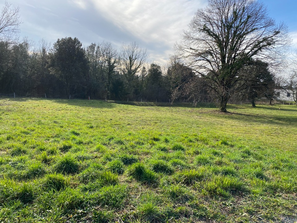 Image du modèle de maison 2140012-11194annonce220250424KTkOK.jpeg