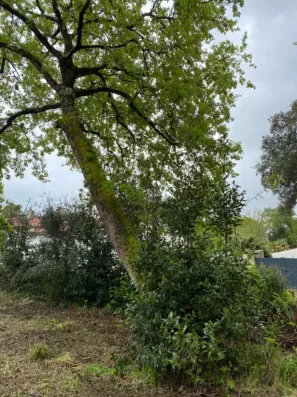 Image du modèle de maison 2140111-11194annonce220250424M6lAU.jpeg