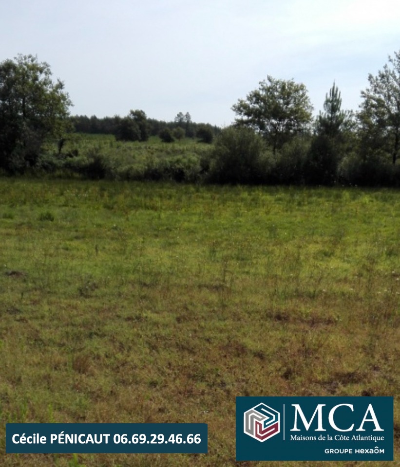 Image du modèle de maison 2141029-5828annonce120250314RFmUV.jpeg
