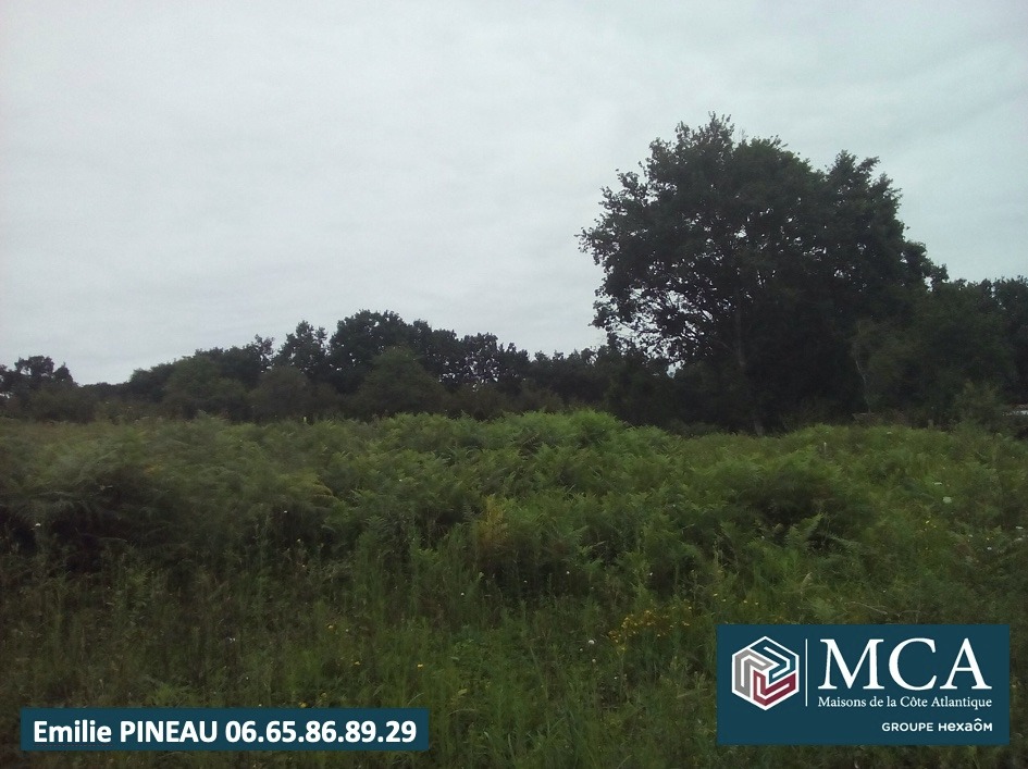 Image du modèle de maison 2141148-5828annonce120250313zIU6T.jpeg