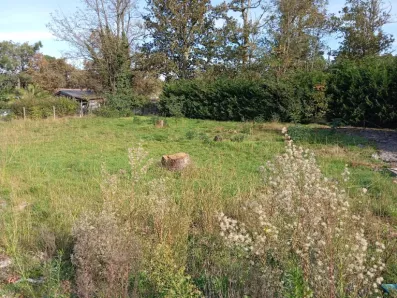 Image du modèle de maison 2142257-1072annonce120250426RfLkQ.jpeg