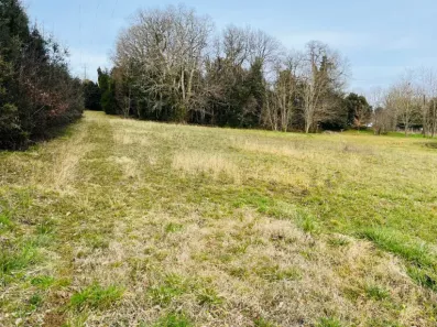 Image du modèle de maison 2142462-11160annonce320250428fcmAh.jpeg