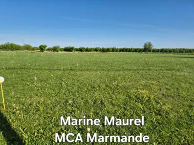 Image du modèle de maison 2142513-11161annonce120250428Tb9eb.jpeg