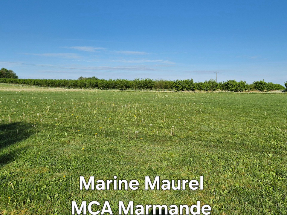 Image du modèle de maison 2142513-11161annonce220250428mLodp.jpeg