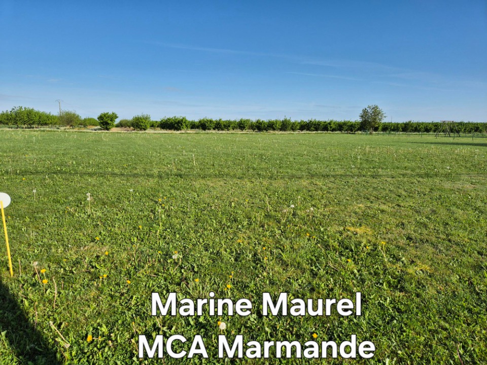 Image du modèle de maison 2142515-11161annonce120250428Tb9eb.jpeg
