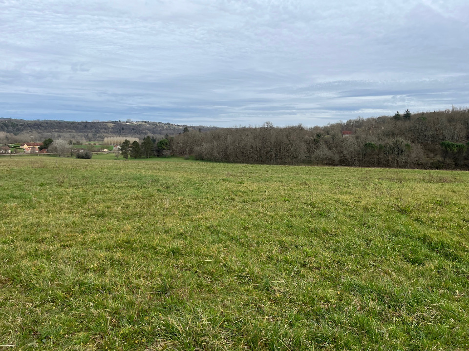 Image du terrain Terrain à bâtir à Le Buisson-de-Cadouin (24480)