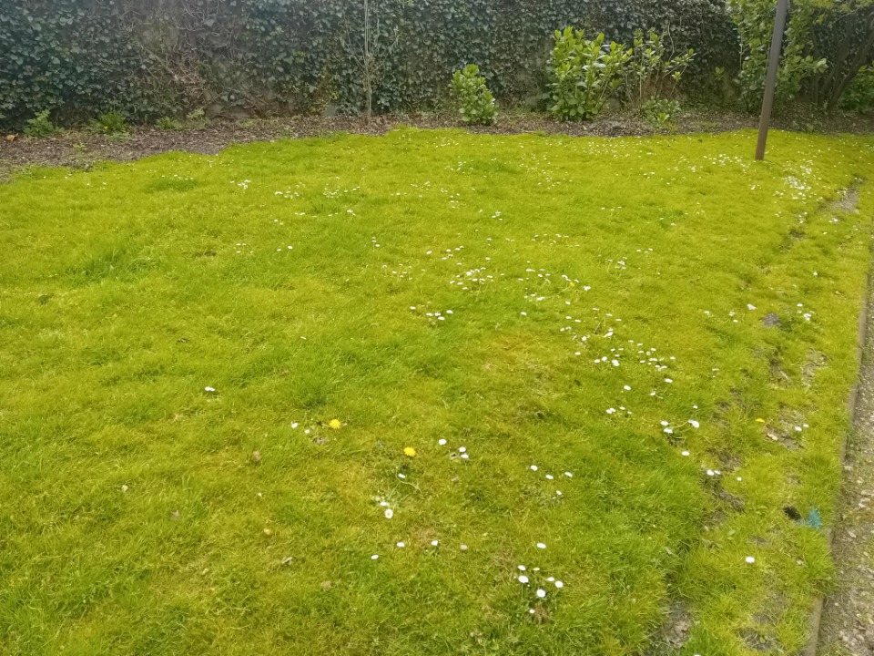 Image du modèle de maison 2142866-11244annonce120250428ZbZxO.jpeg
