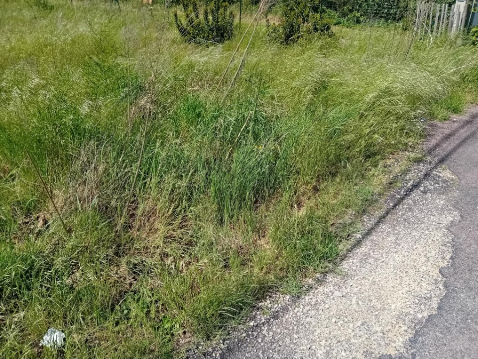 Image du modèle de maison 2142882-11244annonce220250428coNOO.jpeg