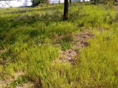 Image du modèle de maison 2142915-11244annonce220250428hH3Z8.jpeg