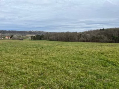Image du modèle de maison 2143103-11160annonce120250428btzHF.jpeg