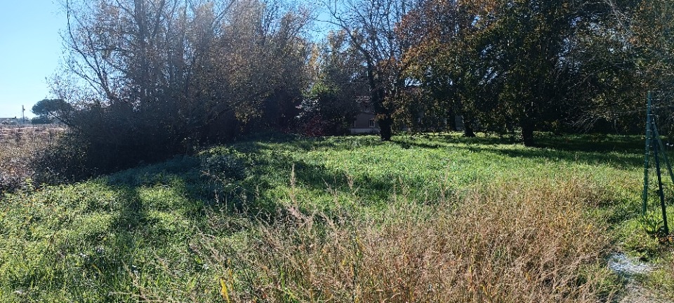 Image du modèle de maison 2143531-11131annonce320250418ChCJt.jpeg
