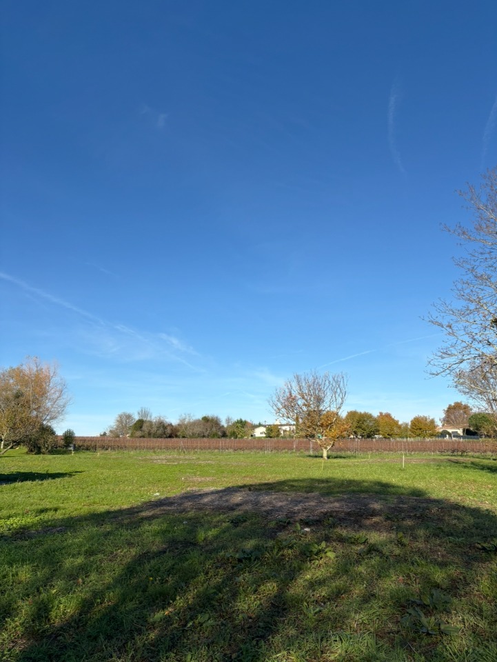 Image du modèle de maison 2143847-11140annonce120250429uSzKT.jpeg