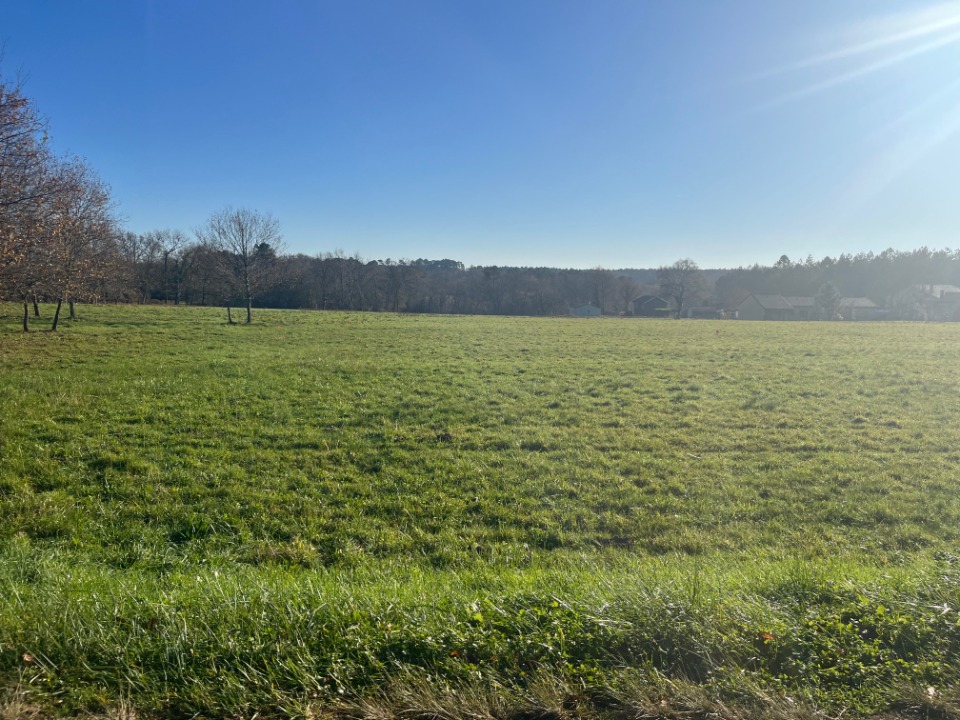 Image du terrain Terrain à bâtir à Casteljaloux (47700)