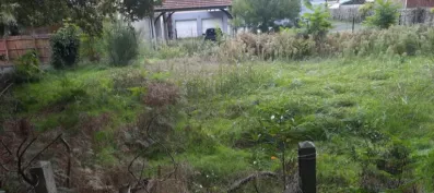 Image du modèle de maison 2144443-11151annonce120241203vBeWz.jpeg