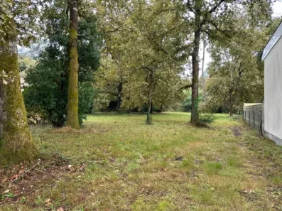 Image du modèle de maison 2144445-11151annonce120250102fTkoH.jpeg