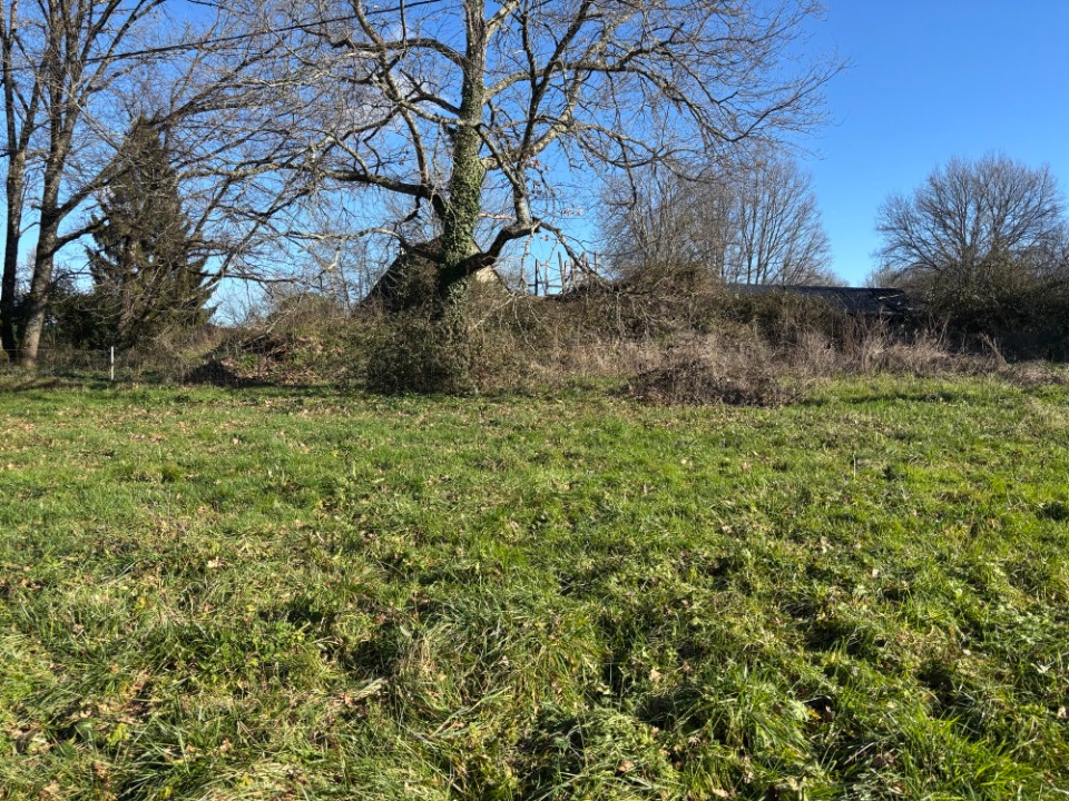 Image du modèle de maison 2144727-11104annonce420250201uyIba.jpeg