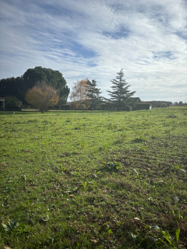 Image du terrain Terrain à bâtir à Sigoulès-et-Flaugeac (24240)