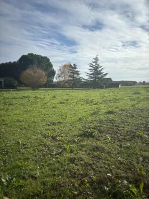 Image du modèle de maison 2144745-11104annonce120250214UXUUN.jpeg